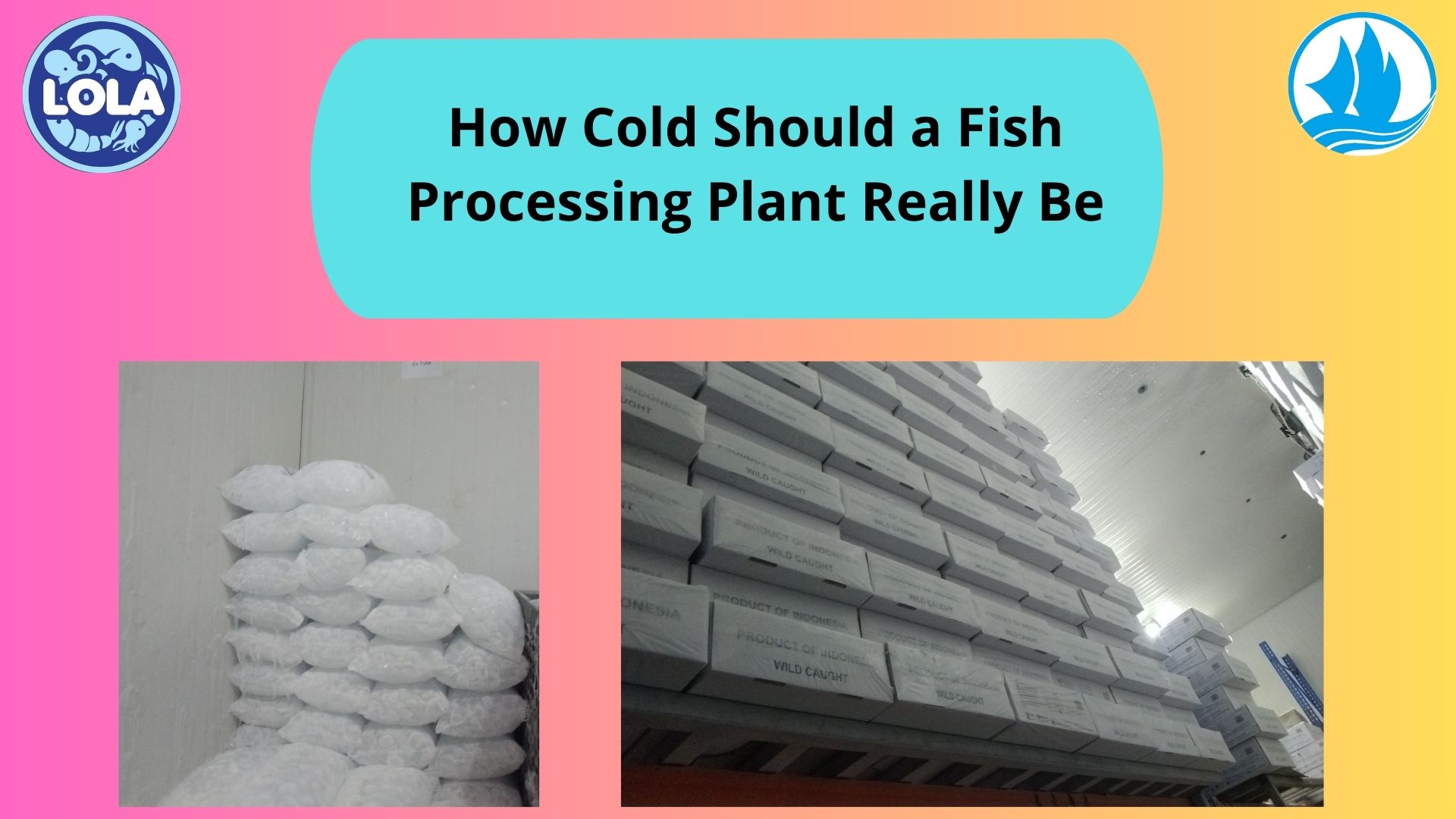  How Cold Should a Fish Processing Plant Really Be